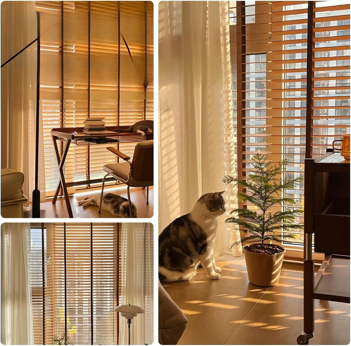 2" Solid Wood Horizontal Window Blinds